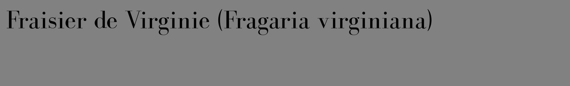 Étiquette de : Fragaria virginiana - format c - style noire50_basique_basiquebod avec comestibilité
