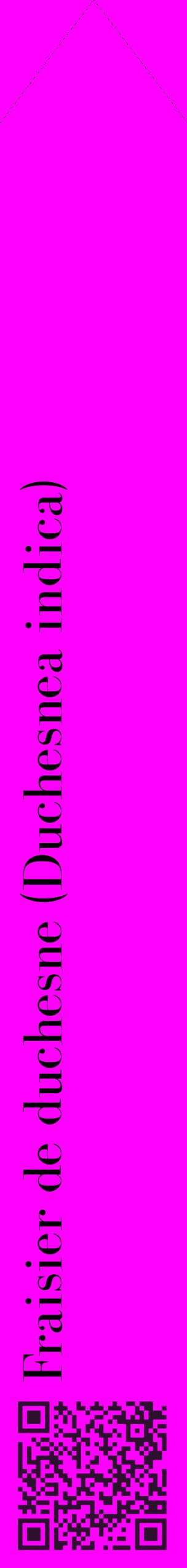 Étiquette de : Duchesnea indica - format c - style noire51_simplebod avec qrcode et comestibilité