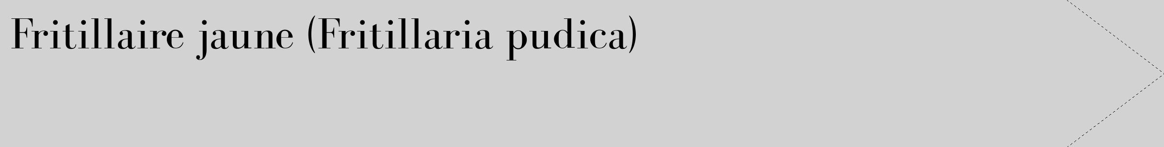 Étiquette de : Fritillaria pudica - format c - style noire14_simple_simplebod avec comestibilité