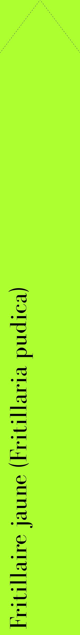 Étiquette de : Fritillaria pudica - format c - style noire17_simplebod avec comestibilité