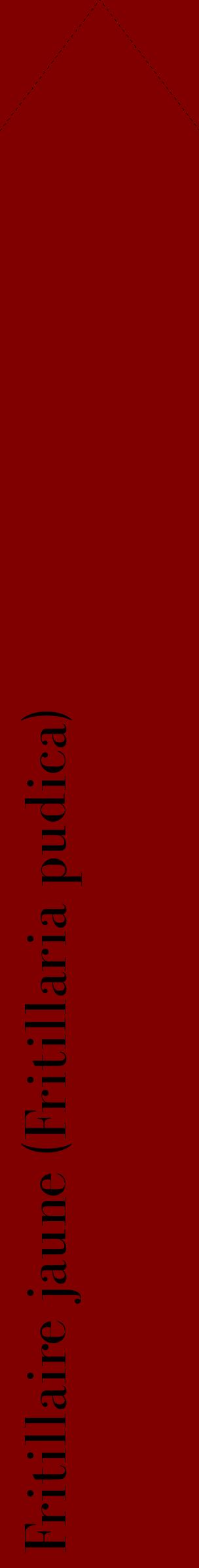 Étiquette de : Fritillaria pudica - format c - style noire29_simplebod avec comestibilité