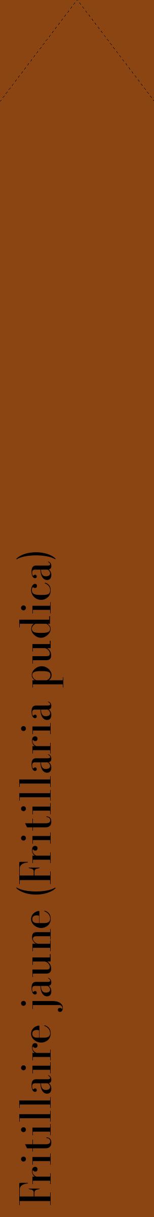 Étiquette de : Fritillaria pudica - format c - style noire30_simplebod avec comestibilité