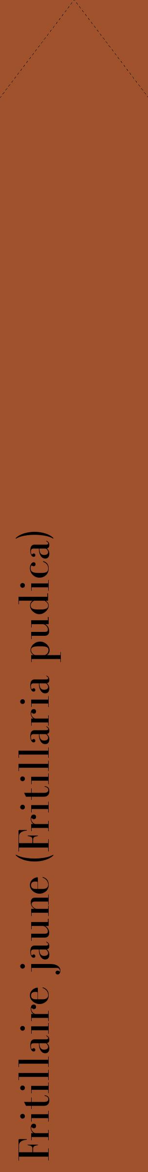 Étiquette de : Fritillaria pudica - format c - style noire32_simplebod avec comestibilité