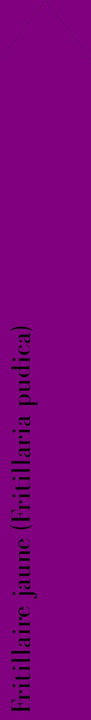 Étiquette de : Fritillaria pudica - format c - style noire46_simplebod avec comestibilité
