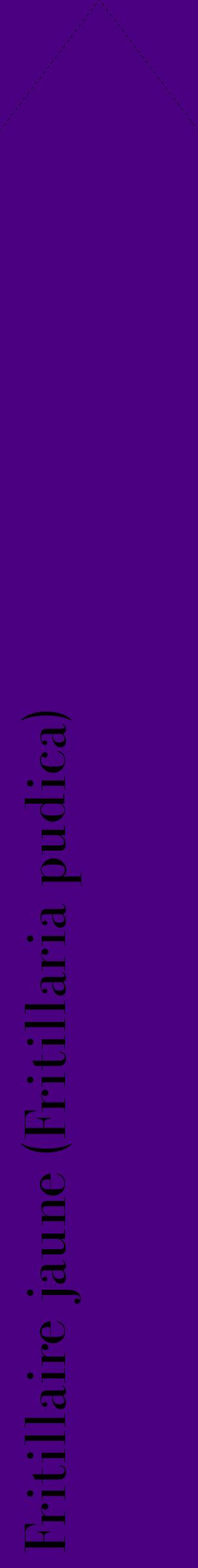 Étiquette de : Fritillaria pudica - format c - style noire47_simplebod avec comestibilité