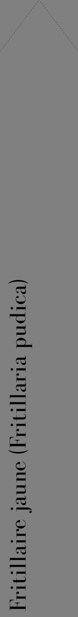 Étiquette de : Fritillaria pudica - format c - style noire57_simplebod avec comestibilité