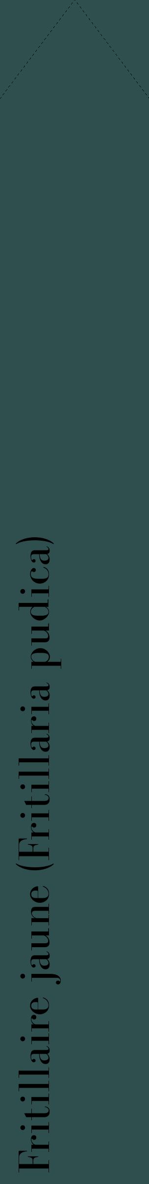 Étiquette de : Fritillaria pudica - format c - style noire58_simplebod avec comestibilité