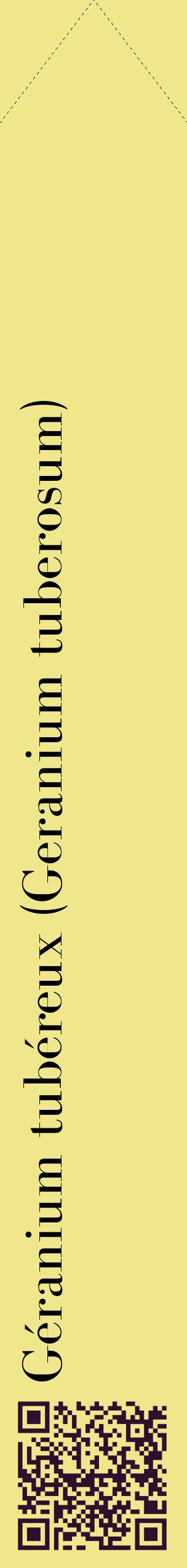 Étiquette de : Geranium tuberosum - format c - style noire20_simplebod avec qrcode et comestibilité