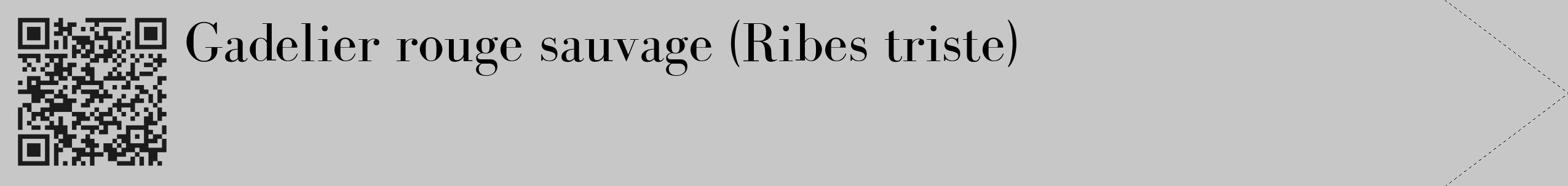 Étiquette de : Ribes triste - format c - style noire15_simple_simplebod avec qrcode et comestibilité