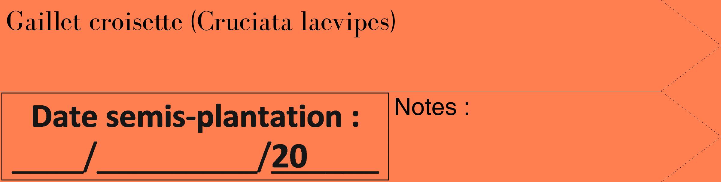 Étiquette de : Cruciata laevipes - format c - style noire24_simple_simplebod avec comestibilité