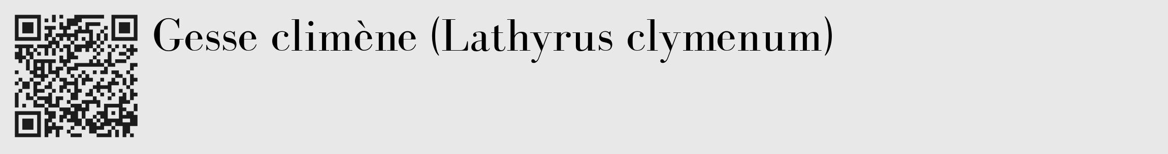 Étiquette de : Lathyrus clymenum - format c - style noire55_basique_basiquebod avec qrcode et comestibilité