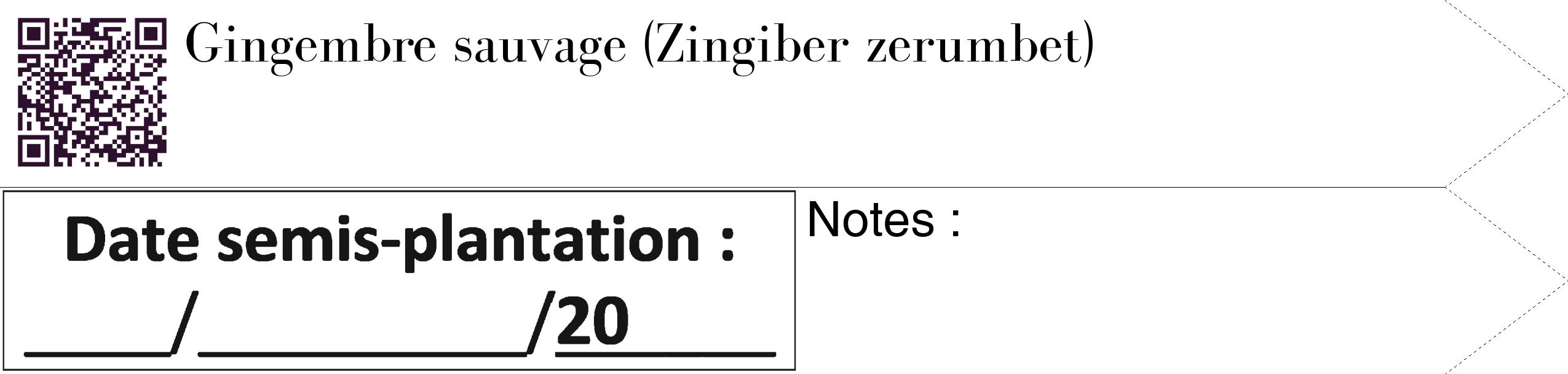 Étiquette de : Zingiber zerumbet - format c - style noire60_simple_simplebod avec qrcode et comestibilité