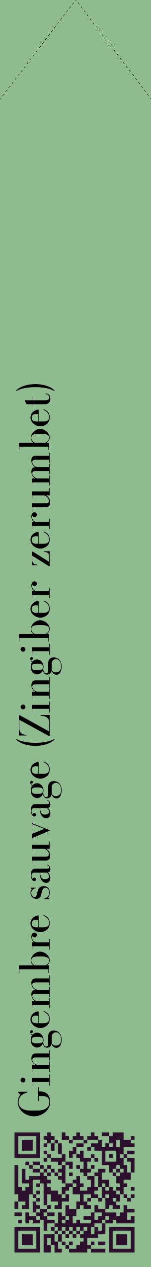 Étiquette de : Zingiber zerumbet - format c - style noire13_simplebod avec qrcode et comestibilité