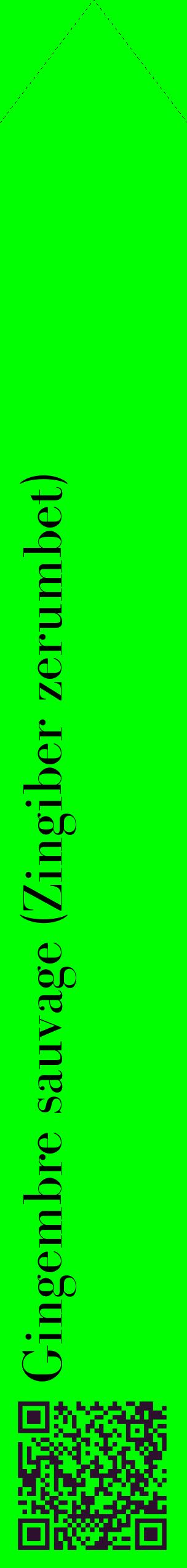 Étiquette de : Zingiber zerumbet - format c - style noire16_simplebod avec qrcode et comestibilité