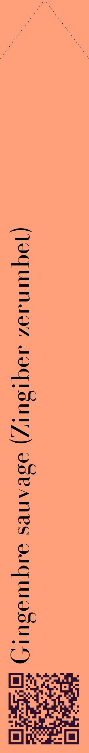 Étiquette de : Zingiber zerumbet - format c - style noire39_simplebod avec qrcode et comestibilité