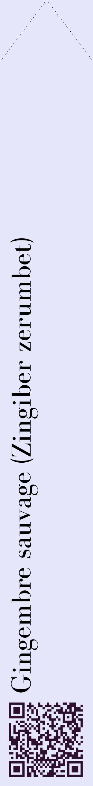 Étiquette de : Zingiber zerumbet - format c - style noire55_simplebod avec qrcode et comestibilité