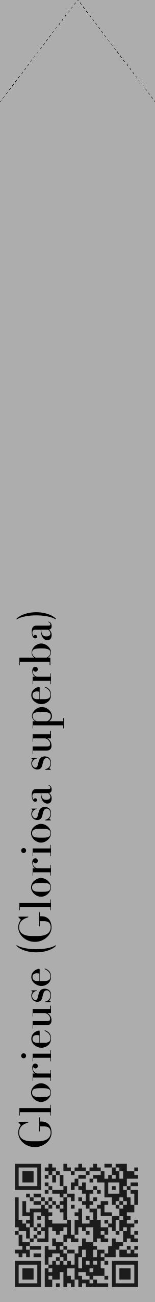 Étiquette de : Gloriosa superba - format c - style noire22_simple_simplebod avec qrcode et comestibilité - position verticale