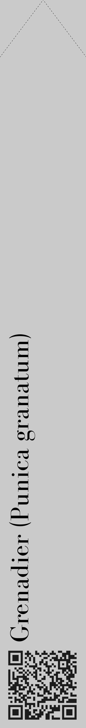 Étiquette de : Punica granatum - format c - style noire21_simple_simplebod avec qrcode et comestibilité - position verticale