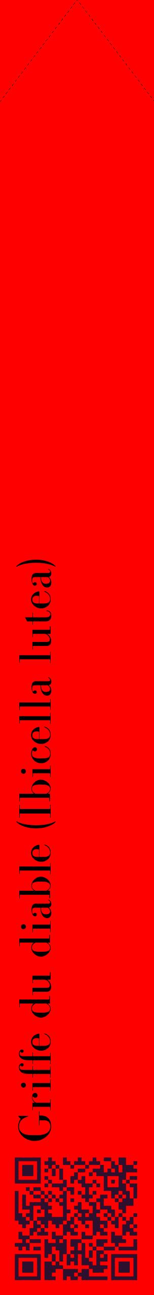 Étiquette de : Ibicella lutea - format c - style noire27_simplebod avec qrcode et comestibilité