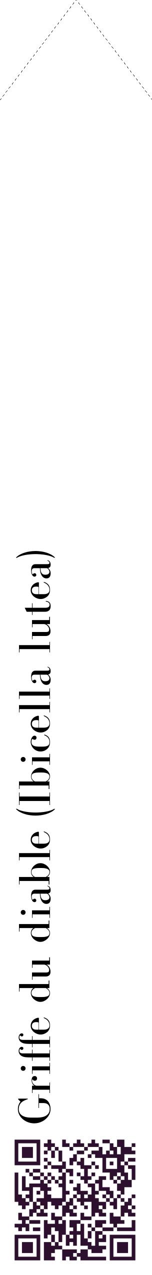 Étiquette de : Ibicella lutea - format c - style noire60_simplebod avec qrcode et comestibilité