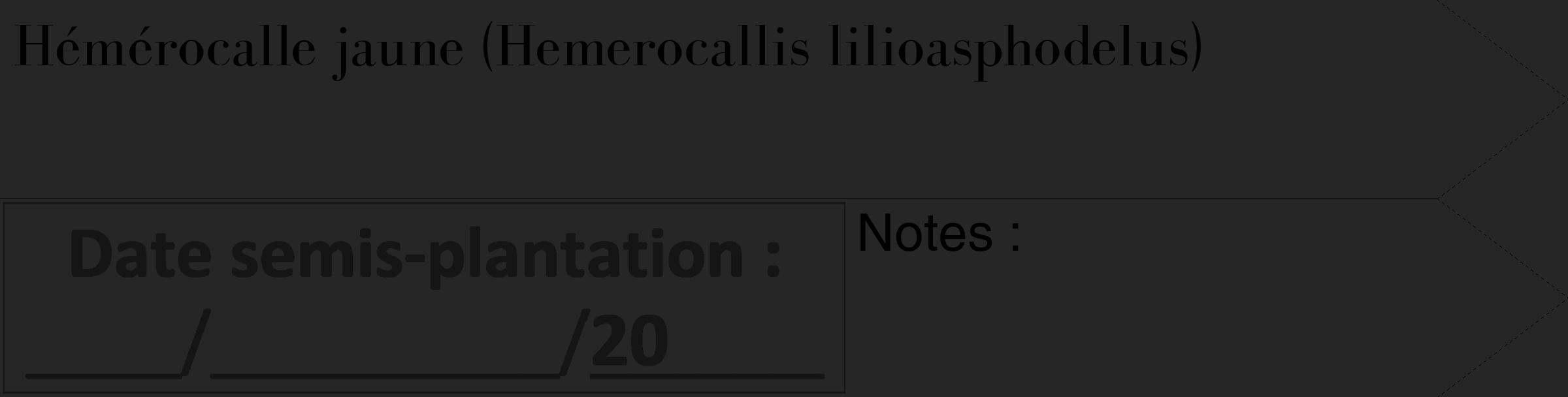 Étiquette de : Hemerocallis lilioasphodelus - format c - style noire29_simple_simplebod avec comestibilité