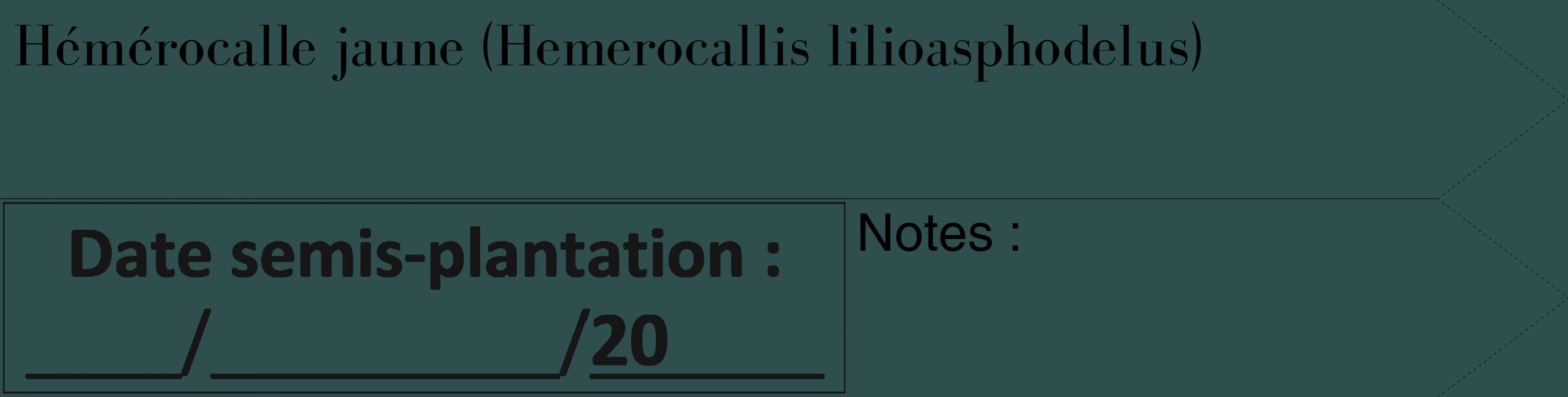 Étiquette de : Hemerocallis lilioasphodelus - format c - style noire58_simple_simplebod avec comestibilité