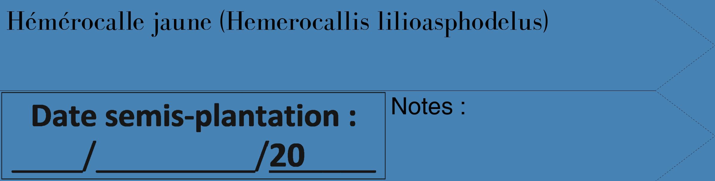 Étiquette de : Hemerocallis lilioasphodelus - format c - style noire5_simple_simplebod avec comestibilité