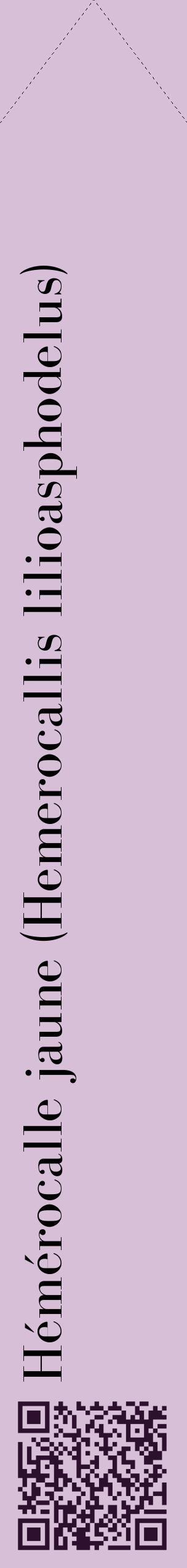 Étiquette de : Hemerocallis lilioasphodelus - format c - style noire54_simplebod avec qrcode et comestibilité