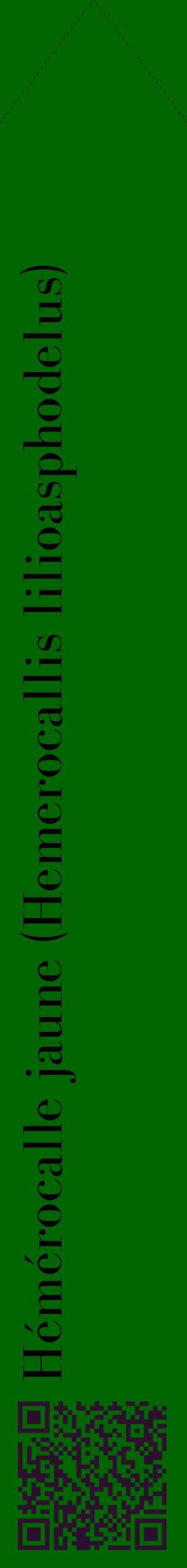 Étiquette de : Hemerocallis lilioasphodelus - format c - style noire8_simplebod avec qrcode et comestibilité