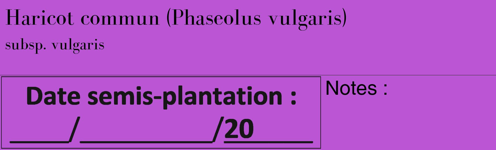 Étiquette de : Phaseolus vulgaris subsp. vulgaris - format c - style noire50_basique_basiquebod avec comestibilité