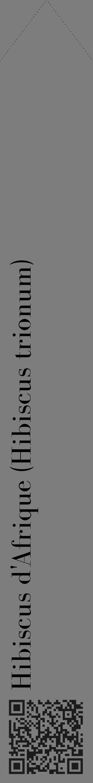 Étiquette de : Hibiscus trionum - format c - style noire35_simple_simplebod avec qrcode et comestibilité - position verticale
