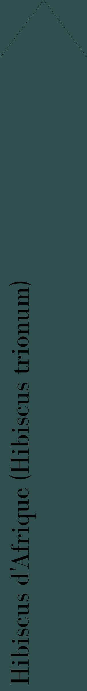Étiquette de : Hibiscus trionum - format c - style noire58_simplebod avec comestibilité