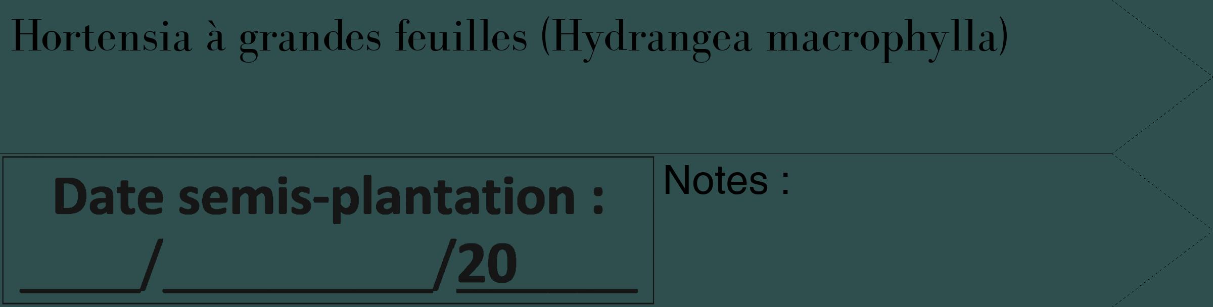 Étiquette de : Hydrangea macrophylla - format c - style noire58_simple_simplebod avec comestibilité