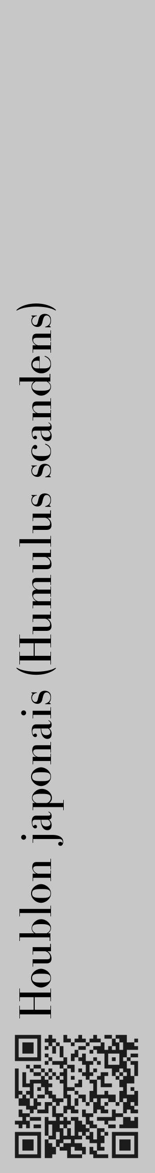 Étiquette de : Humulus scandens - format c - style noire15_basique_basiquebod avec qrcode et comestibilité - position verticale