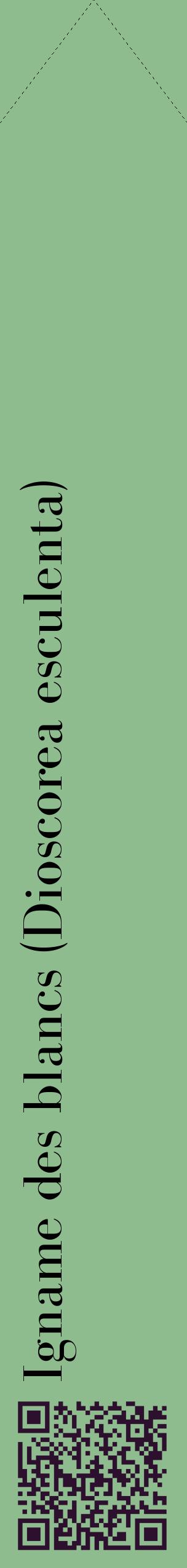 Étiquette de : Dioscorea esculenta - format c - style noire13_simplebod avec qrcode et comestibilité