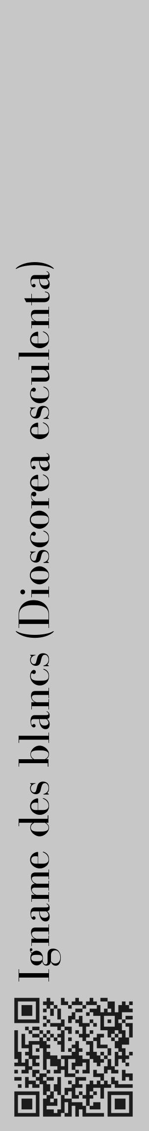 Étiquette de : Dioscorea esculenta - format c - style noire15_basique_basiquebod avec qrcode et comestibilité - position verticale