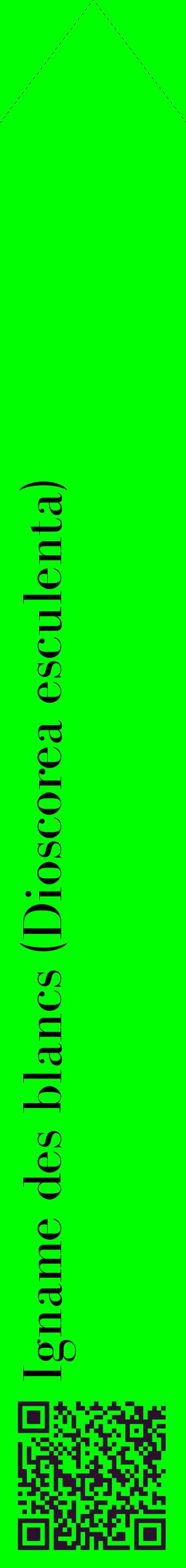 Étiquette de : Dioscorea esculenta - format c - style noire16_simplebod avec qrcode et comestibilité