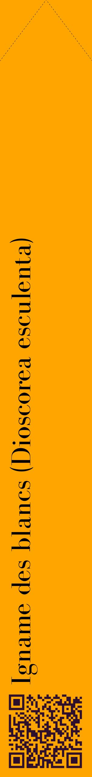 Étiquette de : Dioscorea esculenta - format c - style noire22_simplebod avec qrcode et comestibilité