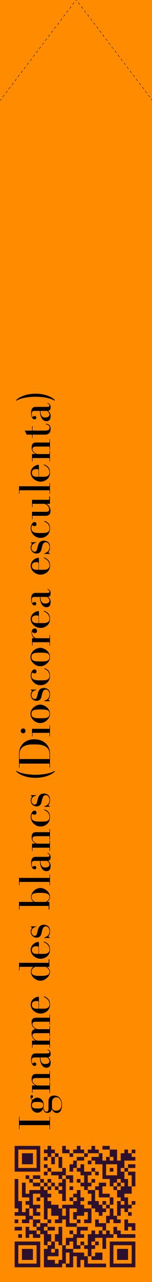 Étiquette de : Dioscorea esculenta - format c - style noire23_simplebod avec qrcode et comestibilité