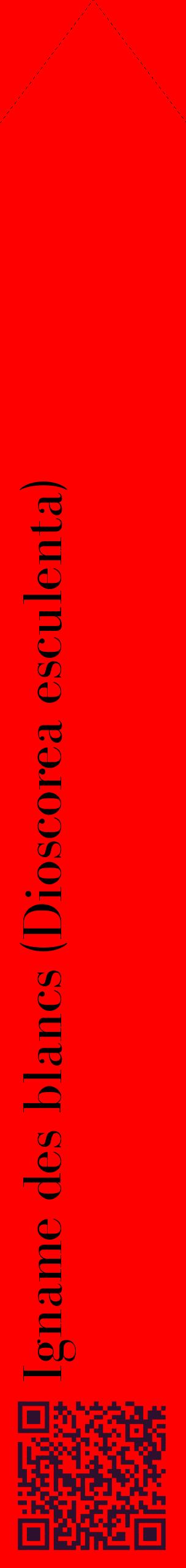 Étiquette de : Dioscorea esculenta - format c - style noire27_simplebod avec qrcode et comestibilité