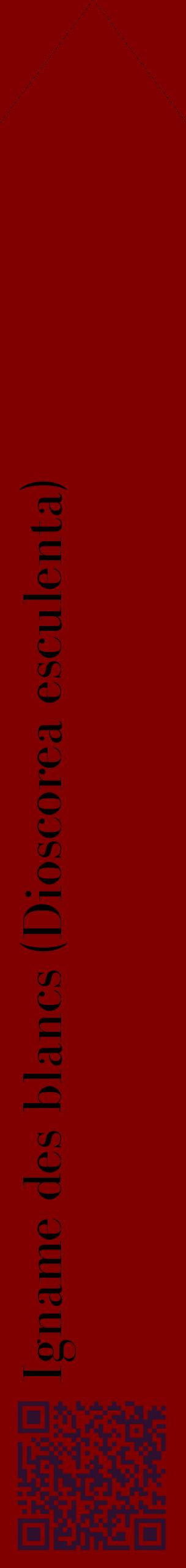 Étiquette de : Dioscorea esculenta - format c - style noire29_simplebod avec qrcode et comestibilité