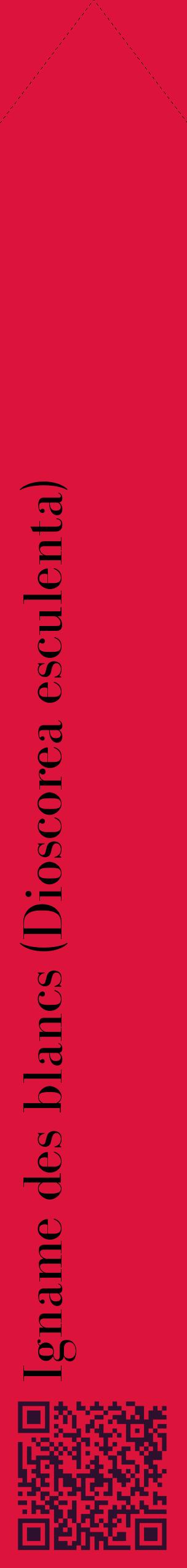 Étiquette de : Dioscorea esculenta - format c - style noire36_simplebod avec qrcode et comestibilité