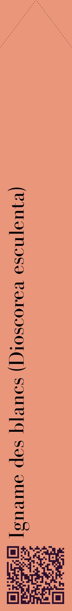 Étiquette de : Dioscorea esculenta - format c - style noire37_simplebod avec qrcode et comestibilité