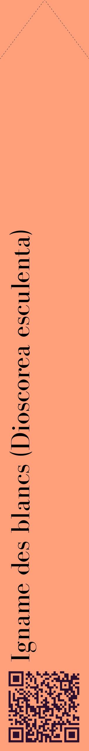 Étiquette de : Dioscorea esculenta - format c - style noire39_simplebod avec qrcode et comestibilité
