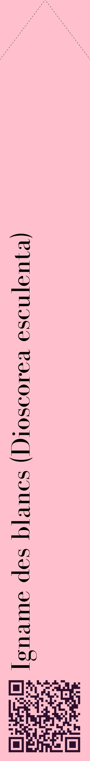Étiquette de : Dioscorea esculenta - format c - style noire40_simplebod avec qrcode et comestibilité