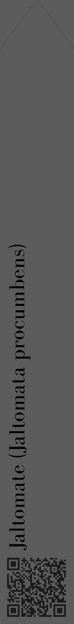 Étiquette de : Jaltomata procumbens - format c - style noire49_simple_simplebod avec qrcode et comestibilité - position verticale