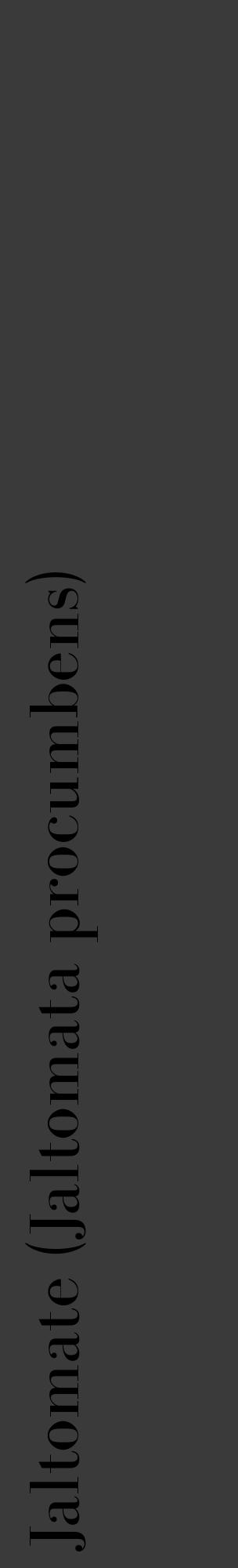 Étiquette de : Jaltomata procumbens - format c - style noire8_basique_basiquebod avec comestibilité - position verticale