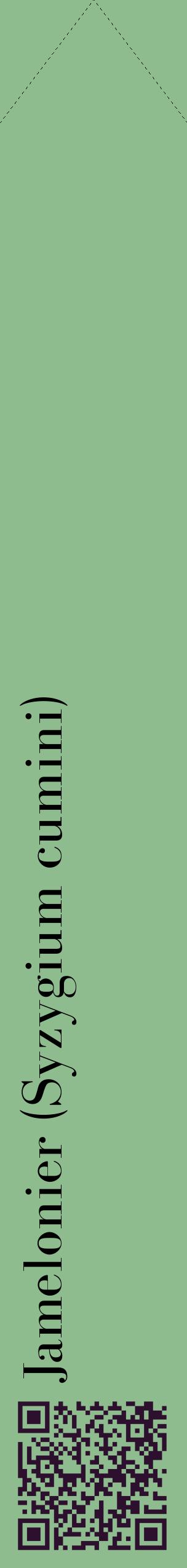 Étiquette de : Syzygium cumini - format c - style noire13_simplebod avec qrcode et comestibilité