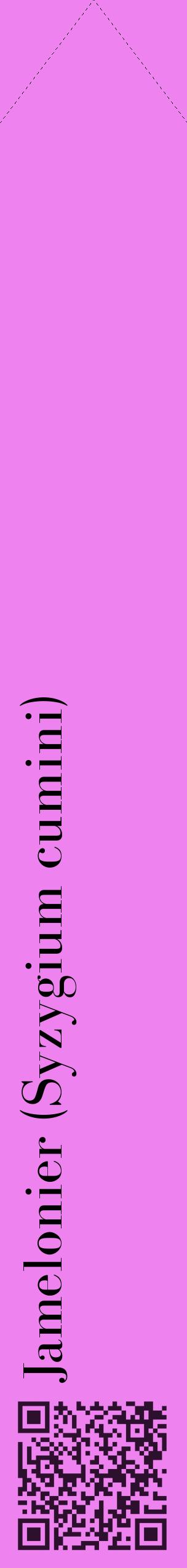 Étiquette de : Syzygium cumini - format c - style noire53_simplebod avec qrcode et comestibilité