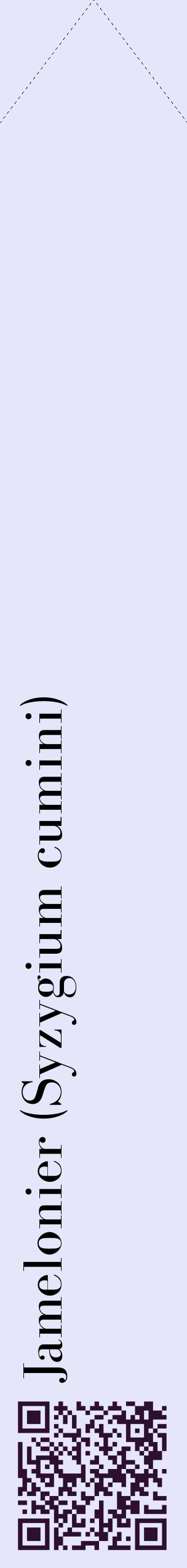 Étiquette de : Syzygium cumini - format c - style noire55_simplebod avec qrcode et comestibilité